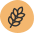 Gluten