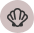 Mollusc