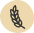 Wheat